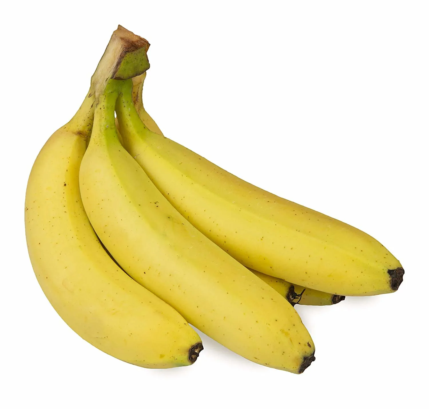 Fresh Banana Export
