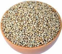 Premium Bajra Export