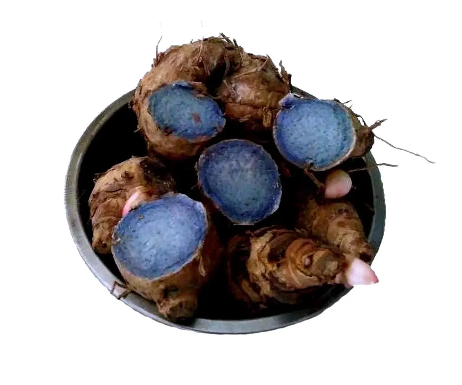 Organic Black Turmeric Export