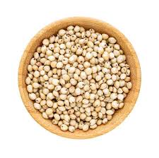 Organic Jowar Export