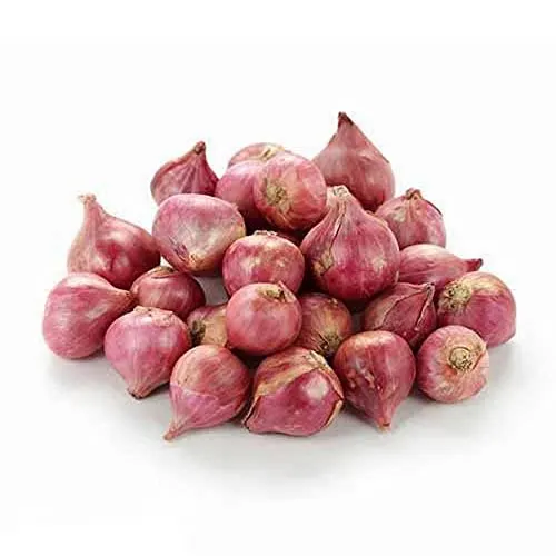 Fresh Onion Export