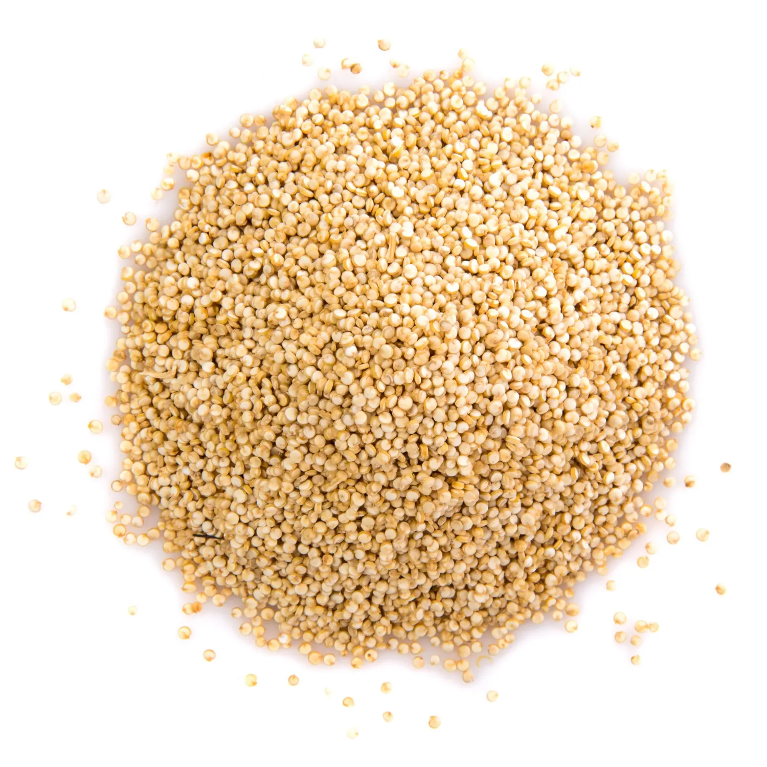 Organic Sesame Seeds Export