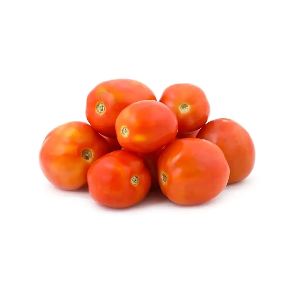 Fresh Tomato Export